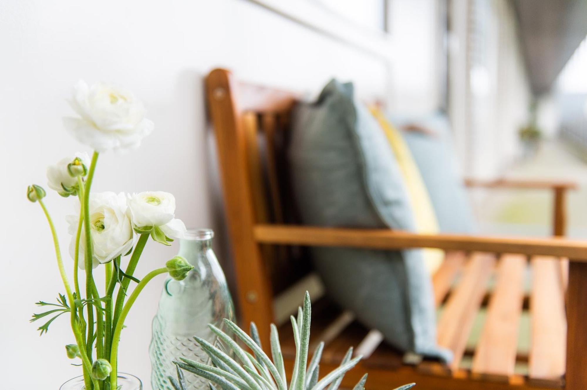 Appartement Zuyd ザントフォールト エクステリア 写真
